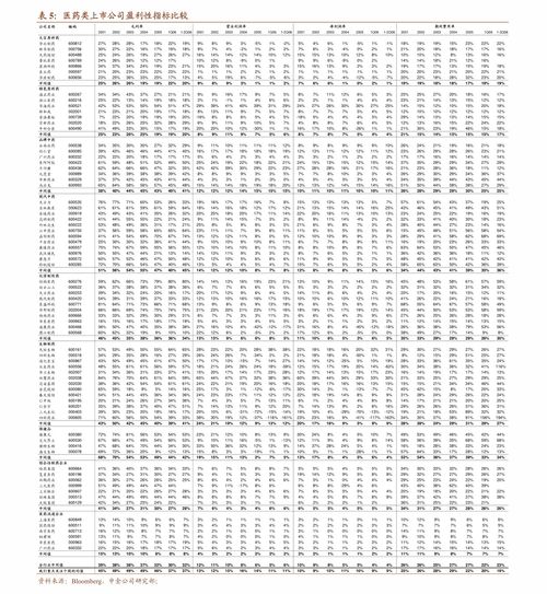 國盛證券計算機行業(yè)深度 為什么全球AI應用領軍企業(yè)有望在中國崛起